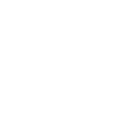 ce logo Hamilton